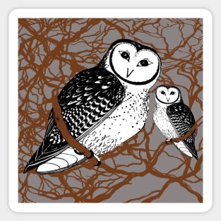 Pair of Tasmanian Masked Owls - Endangered Sticker